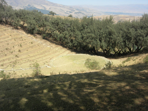 Un anfiteatro escondido en las montañas del Valle de Mantaro