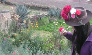Recogiendo Flores en los Andes