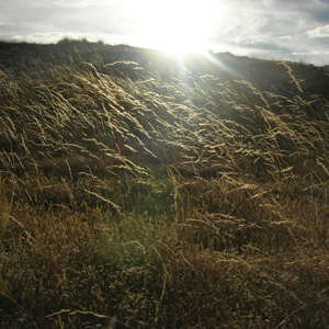 El Sol Fuerte de los Andes